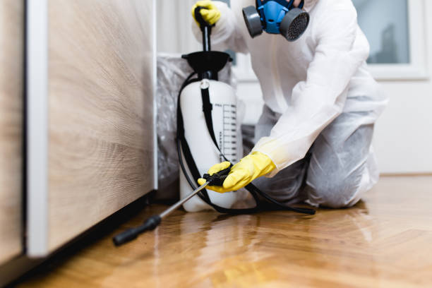 Best Flea Control Services  in Brazoria, TX