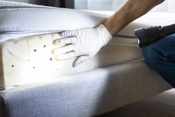 Best Wildlife Control Services  in Brazoria, TX