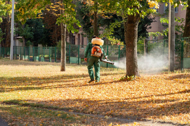 Best Pest Removal Services  in Brazoria, TX