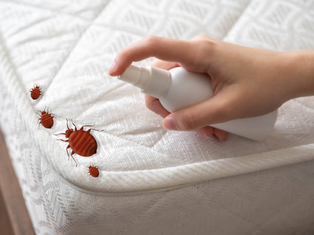 Best Mosquito Control Services  in Brazoria, TX