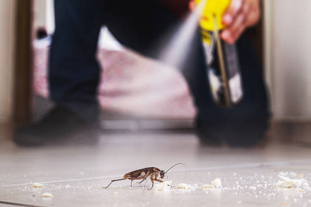 Brazoria, TX Pest Control Company